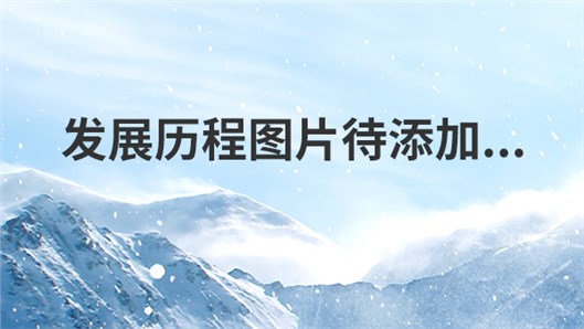 2005年 2005年